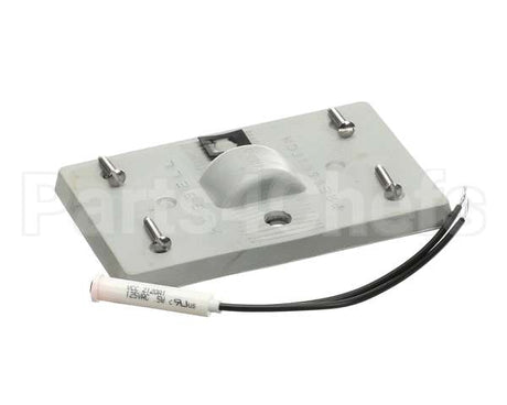 017272 Bally Rub Switch Plt W/Pil