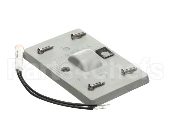 017272 Bally Rub Switch Plt W/Pil