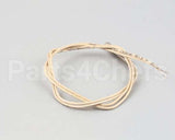 02.01.085.00 Hatco Thermostat Probe Ss Rtd2 100Ohm@32