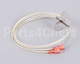 02.01.192.00 Hatco Probe,100 Ohm,Rtd