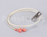 02.01.192.00 Hatco Probe,100 Ohm,Rtd