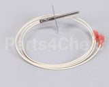 02.01.192.00 Hatco Probe,100 Ohm,Rtd