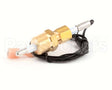 02.01.204.00 Hatco Probe,Temp/Lvl,10K Thermistor