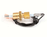 02.01.204.00 Hatco Probe,Temp/Lvl,10K Thermistor