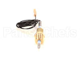 02.01.393.00 Hatco Probe,Temp/Level,10K,Hcwbi
