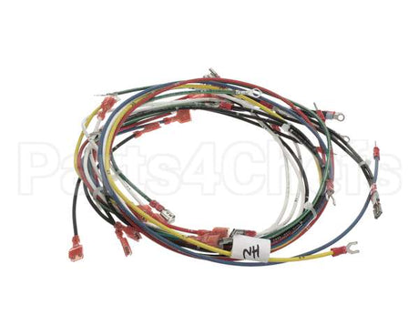 02.18.172.00 Hatco Compact Booster Harness