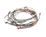 02.18.172.00 Hatco Compact Booster Harness