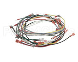 02.18.172.00 Hatco Compact Booster Harness