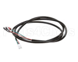020002093 Multiplex Cord Assembly To Carb Tank