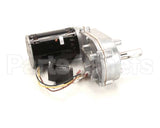 020003596 Multiplex Motor 115V High Torque Chamfered