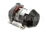 02103.10 Cma Uc 65E Pump Motor Assembly 220V 60