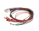 0259F00007P Goodman 12-Pin Repl Wiring Harness