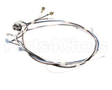 02759.0000 Bunn Wiring Harness, 120V 2Top(S)