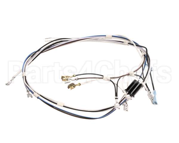 02759.0000 Bunn Wiring Harness, 120V 2Top(S)