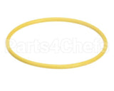 03.05.061B.00 Hatco Watertreat Rep O-Ring Scaltrol