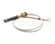 03111250027 United - Eurodib Thermocouple Assembly