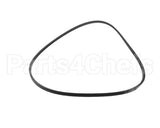 037266 Electrolux Professional Belt