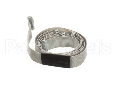 04000363 Nuova Simonelli Ribbon Cable Aurelia 3Gr