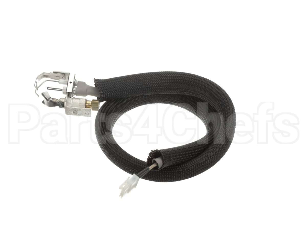 0455946 Legion Pilot Burner Ignitor Sensor