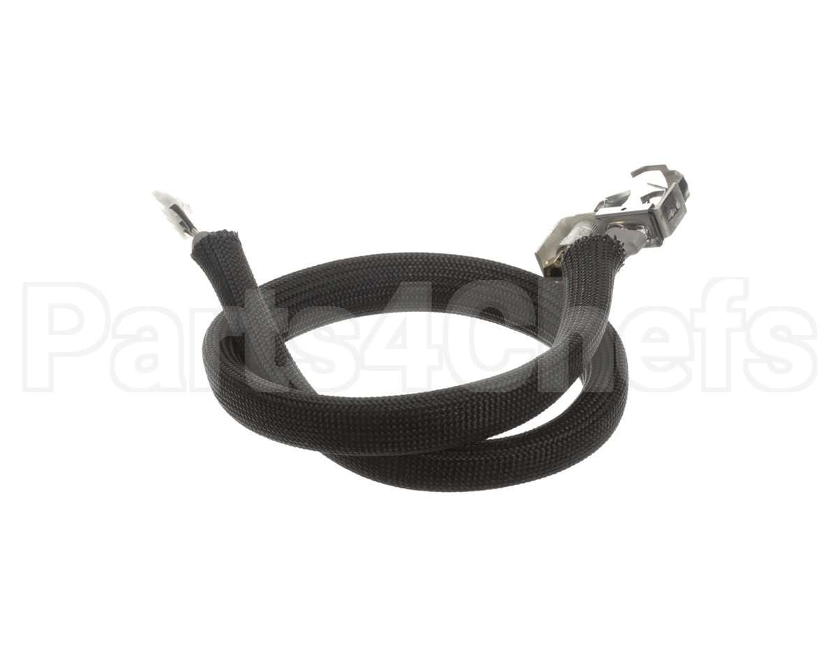 0455946 Legion Pilot Burner Ignitor Sensor