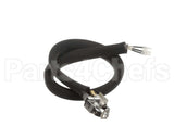 0455946 Legion Pilot Burner Ignitor Sensor