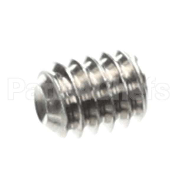 0501395 Compatible Champion Screw, Socket 1/4-20X5/16 Ss