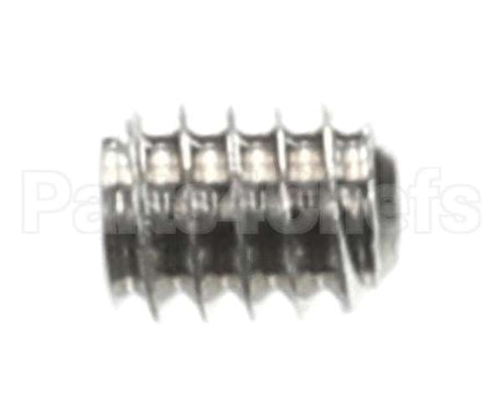 0501395 Champion - Moyer Diebel Screw, Socket 1/4-20X5/16 Ss