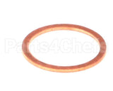 0502804 Champion - Moyer Diebel Gasket Strainer Cap S45 Valve