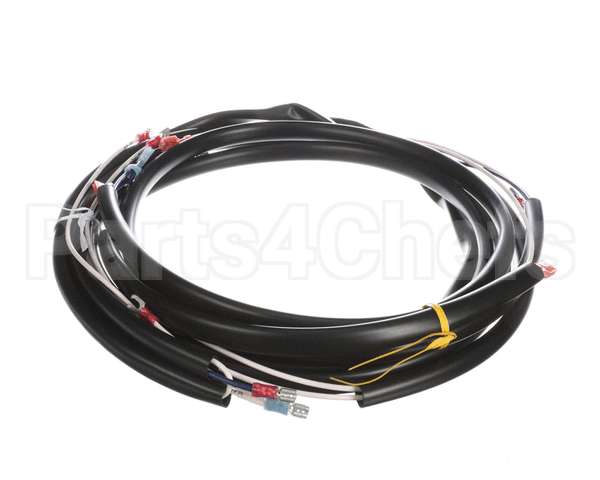 0507577 Champion - Moyer Diebel Harness, Sw600 M5