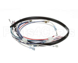 0509039 Champion - Moyer Diebel Harness, Control Box Df/Sw