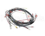 0512538-1 Champion - Moyer Diebel Harness, Wiring Dfm7.5