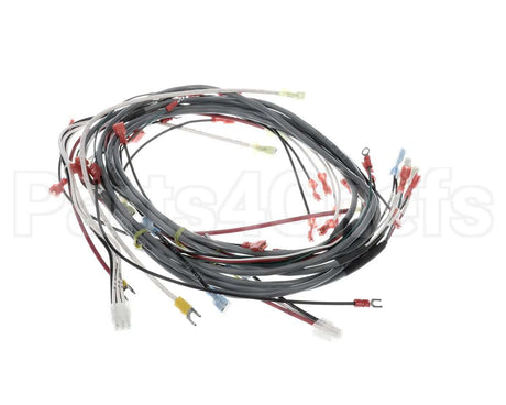 0512538-1 Champion - Moyer Diebel Harness, Wiring Dfm7.5