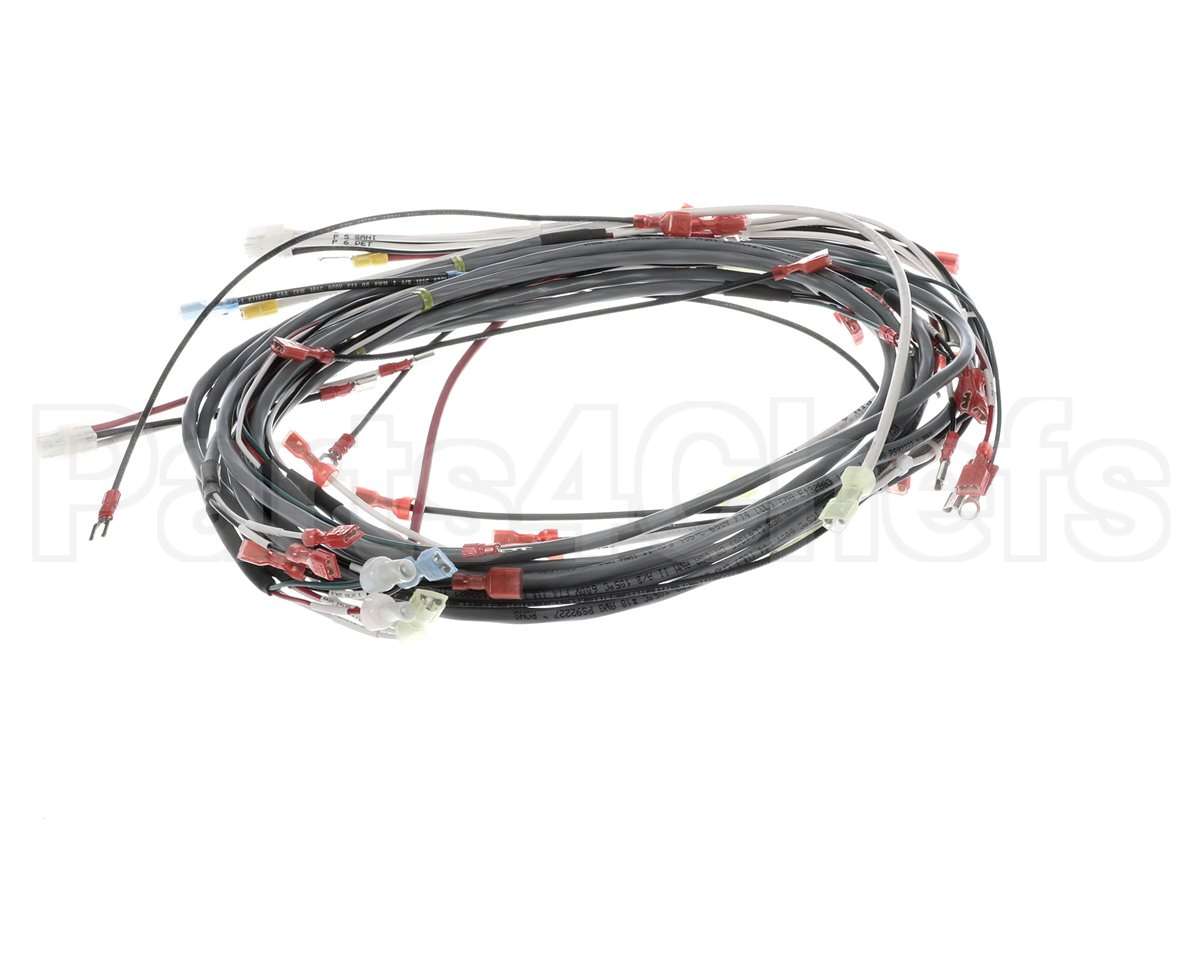 0512538-1 Champion - Moyer Diebel Harness, Wiring Dfm7.5
