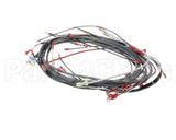 0512538-1 Champion - Moyer Diebel Harness, Wiring Dfm7.5