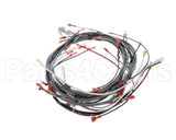 0512538-1 Champion - Moyer Diebel Harness, Wiring Dfm7.5