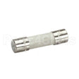 0513698 Compatible Champion Fuse, 6 Amp 250Vac Time Delay