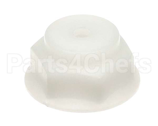 0513842 Champion - Moyer Diebel Nut, Anitsiphon Valve 383