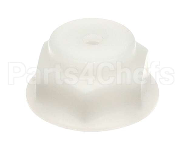 0513842 Champion - Moyer Diebel Nut, Anitsiphon Valve 383