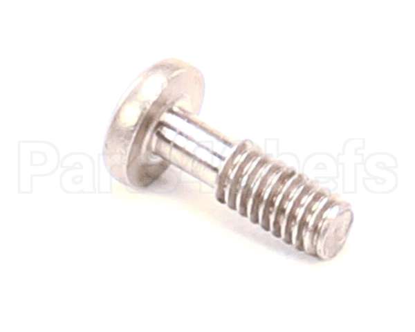 06002139 Jbt Screw,Captive Security