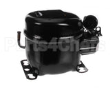 07000174 Glastender Compressor 60Hz