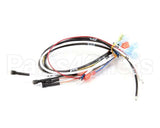 0700547 Antunes Wire Set (Tmr)
