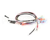 0700547 Antunes Wire Set (Tmr)