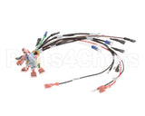 0700554 Antunes Wire Set