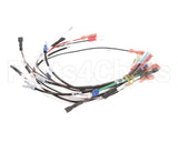 0700554 Antunes Wire Set