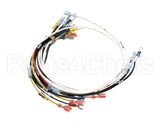 0700651 Antunes Wire Set Vct-2000