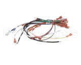 0700807 Antunes Wire Harness