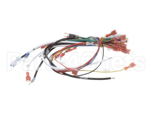 0700807 Antunes Wire Harness