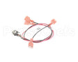 0700814 Antunes Wire Set