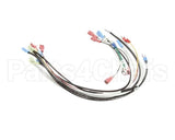 0700871 Antunes Wire Set Firehouse