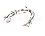 0700871 Antunes Wire Set Firehouse